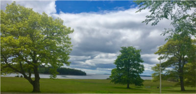 Beautiful view from Lorelei Cottage