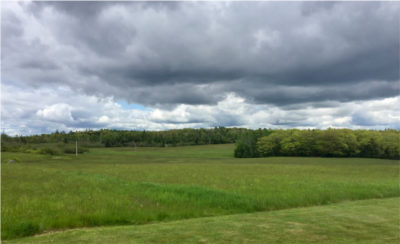 A beautiful view from Lorelei cottage