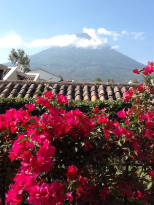 Spend a Week in Antigua, Guatemala in the home of Marianne Lee and Wyllys Terry